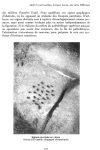 « André Leroi-Gourhan, Jacques Lacan, une nette différence » Revue du Littoral 1992 n°36, 161-178
