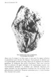 « André Leroi-Gourhan, Jacques Lacan, une nette différence » Revue du Littoral 1992 n°36, 161-178