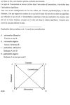 « Penser le corps avec la psychanalyse » Séminaire de Psychanalyse 2005-2006 (notes parlées)
